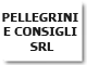PELLEGRINI E CONSIGLI SRL